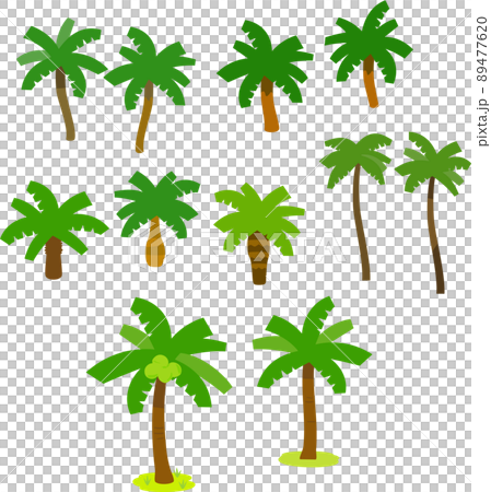 ヤシの木のイラストセット ヤシの木のイラストセット 89477620