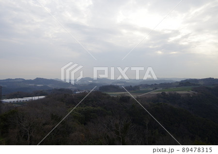 愛知県南知多町　桜公園　景色 89478315