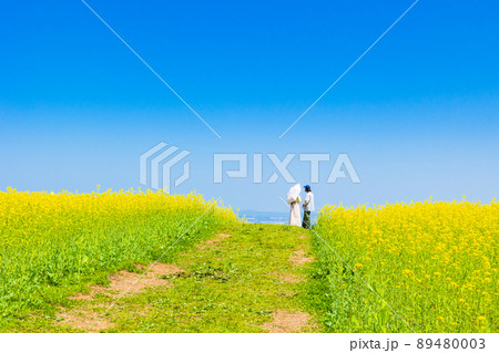 なの花畑のカップル3 89480003