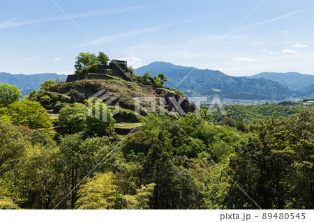 高森神社から望む新緑の苗木城跡 89480545