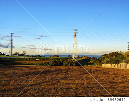冬の畑 冬の畑 89480652