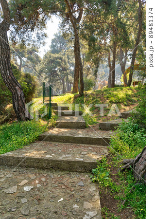 Stone stairs surrounded by huge green tree and grass at a public park in spring time, Buyukada Island (Princes island), Istanbul, Turkey 89481374