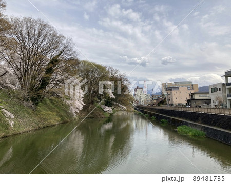 山形市　霞城公園の桜 89481735