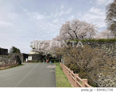 山形市 霞城公園の桜 山形市 霞城公園の桜 89481736