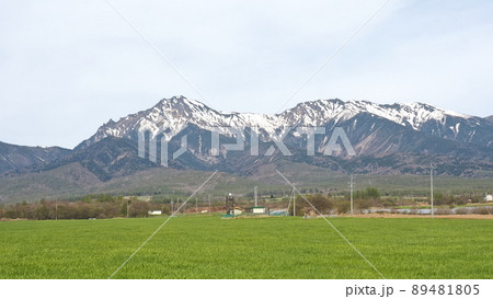 野辺山高原　八ヶ岳 89481805