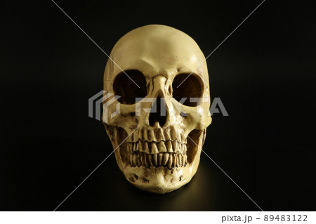ドクロ・頭蓋骨・正面2（シンプル黒背景） 89483122