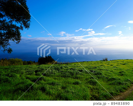 雄大な空と海、牧歌的風景 89483890
