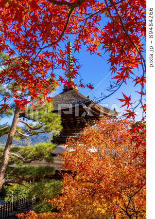 常寂光寺 嵐山 紅葉 常寂光寺 嵐山 紅葉 89484266