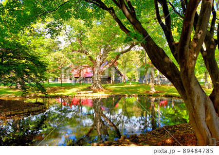 北海道・北海道大学・札幌農学校第2農場・入口すぐの池越しに眺める模範農場・札幌市 89484785