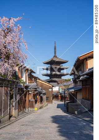 京都　東山の八坂の塔と桜 89485100