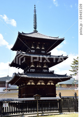 興福寺三重塔の春風景 89485109