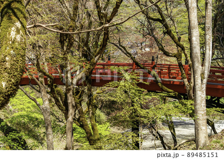 養父神社　神橋　兵庫県養父市 89485151