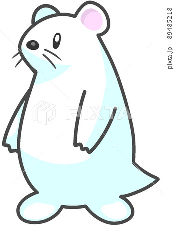 キタイイズナ 89485218