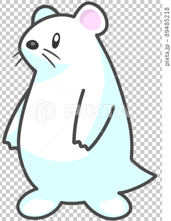 キタイイズナ 89485218