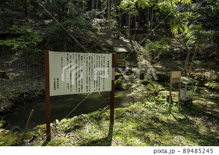 養父神社　厳島神社と鯉養殖　兵庫県養父市 89485245