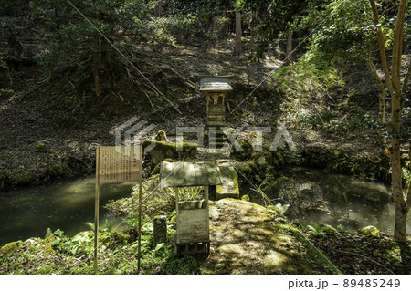 養父神社　厳島神社と鯉養殖　兵庫県養父市 89485249