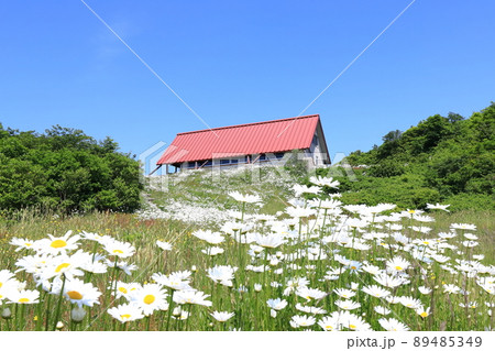 新潟 佐渡 ドンデン避難小屋 新潟 佐渡 ドンデン避難小屋 89485349