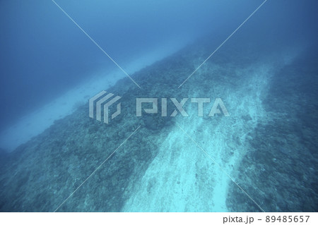 沖縄の海底 89485657