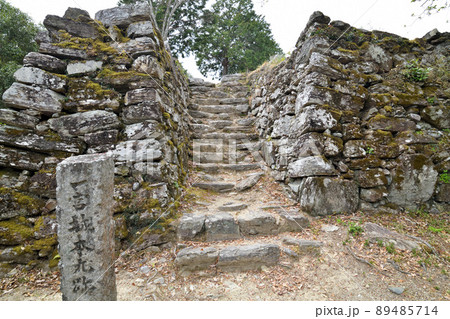 阿波「一宮城」の本丸石垣 89485714