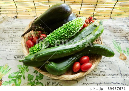 家庭菜園で採れた夏野菜 家庭菜園で採れた夏野菜 89487671