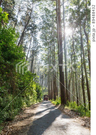 Road on Sri Lanka Road on Sri Lanka 89488432