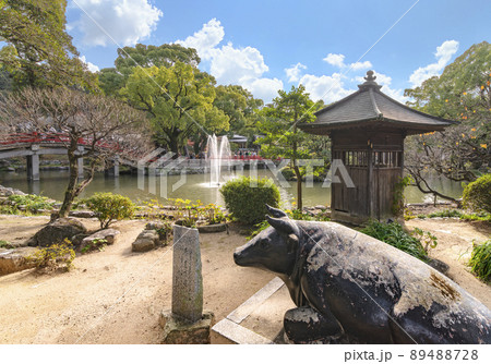 [九州・大宰府] 太宰府天満宮の池の水辺に立つ撫で丑の石像。 89488728