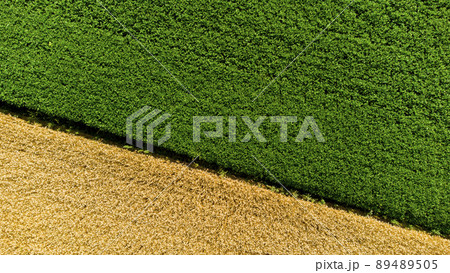 Aerial drone view over border between yellow wheat field and green agricultural field. Top view two halves of fields. Rural landscape scenery country. Agricultural natural background. Crop fields 89489505