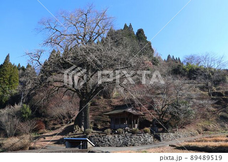 美里町 観音堂がある風景 美里町 観音堂がある風景 89489519
