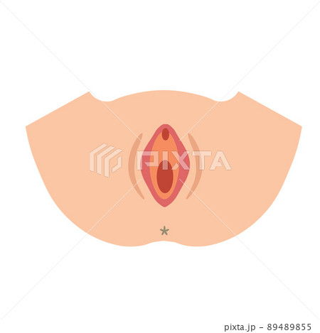 膣　女性生殖器のイラスト 89489855