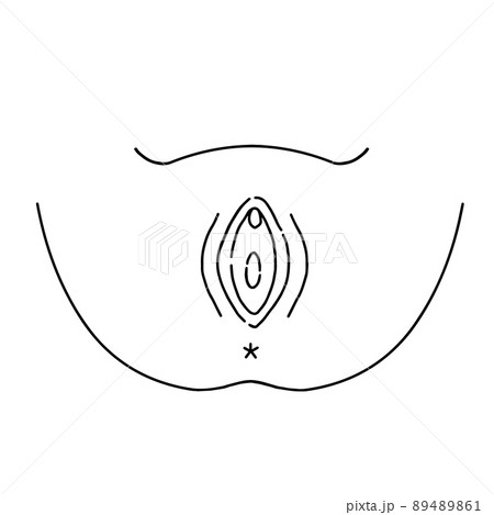 膣　女性生殖器のイラスト 89489861