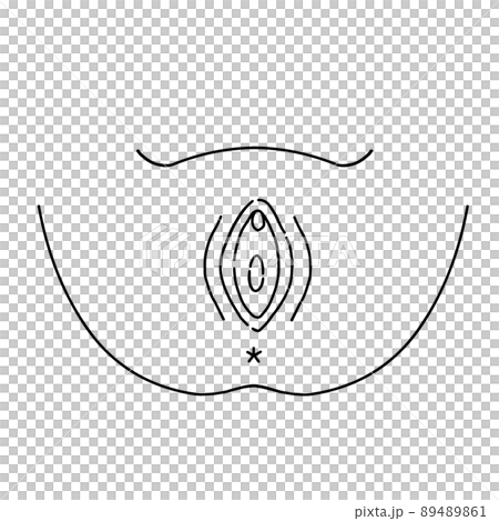 膣　女性生殖器のイラスト 89489861