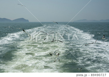 韓国 海 風景 89490727