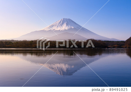 (山梨県)朝霧と逆さ富士・精進湖 (山梨県)朝霧と逆さ富士・精進湖 89491025