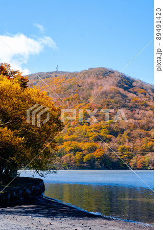 秋の赤城山:大沼 秋の赤城山:大沼 89491420
