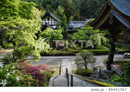 延命寺（初夏　早朝　河内長野市　樹々　階段上から　朝のお参り） 89491567
