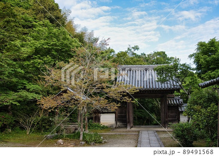 延命寺（初夏　早朝　境内　樹々　山門） 89491568