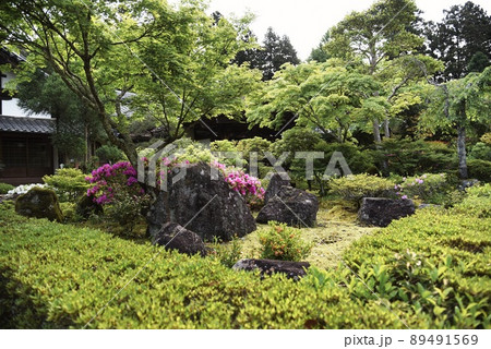 延命寺（初夏　早朝　境内　樹々　ツツジ　庭） 89491569
