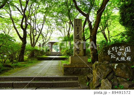 延命寺(初夏 早朝 山門 石畳 もみじ) 延命寺(初夏 早朝 山門 石畳 もみじ) 89491572