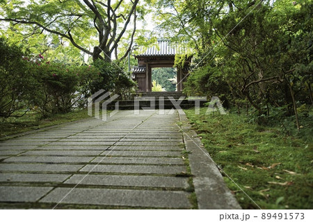 延命寺（初夏　早朝　山門　石畳　もみじ） 89491573