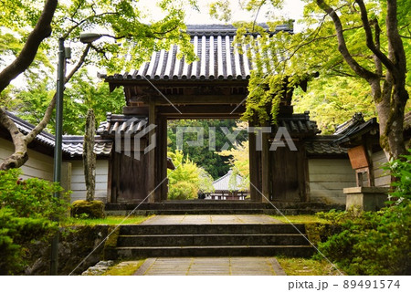 延命寺_初夏_早朝_山門_石畳_緑のもみじ 延命寺_初夏_早朝_山門_石畳_緑のもみじ 89491574