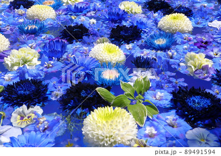 埼玉県川越市小ヶ谷町　川越水上公園となり瑶光山最明寺の花手水 89491594