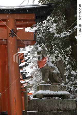 大雪の中の伏見稲荷大社 89492236