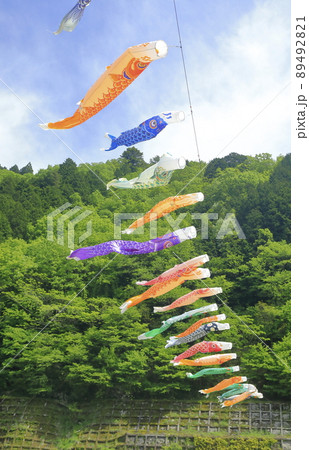 山の谷に渡された鯉のぼり 山の谷に渡された鯉のぼり 89492821