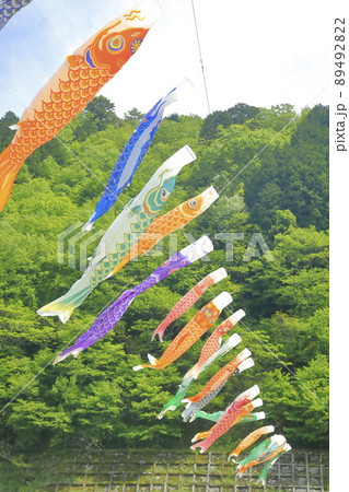 山の谷に渡された鯉のぼり 89492822
