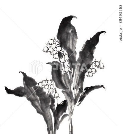 水墨画技法で描いたスズランのイラスト素材 [89493268] - PIXTA