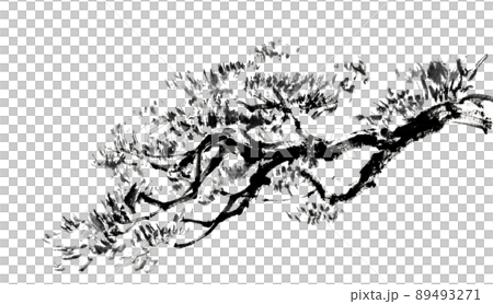 水墨画技法で描いた松の枝 89493271