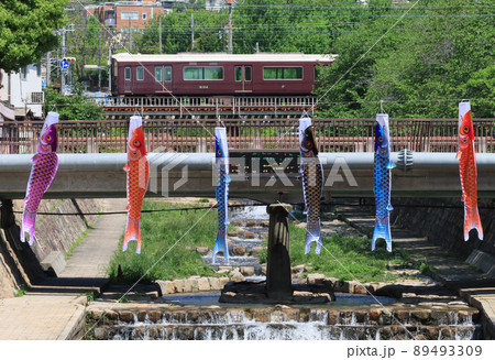 阪急神戸線　都賀川を渡る電車と鯉のぼり 89493309