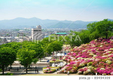 西山公園　つつじ　日本の歴史公園100選 89494309
