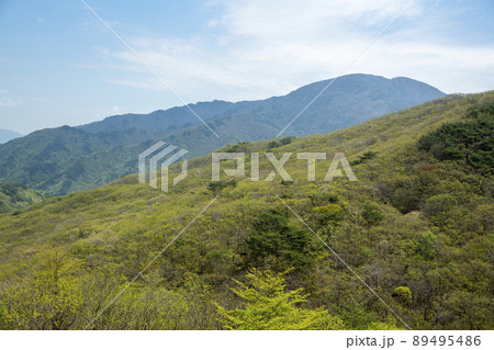 南原市 智異山 山 89495486