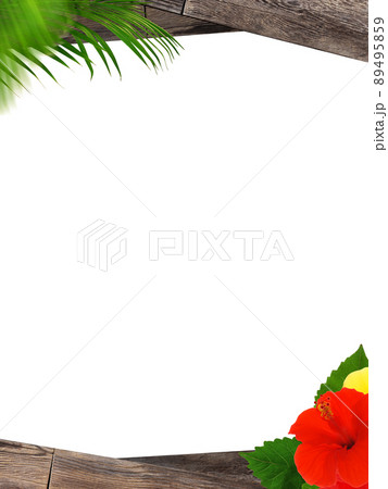 トロピカルな雰囲気のフレーム 89495859